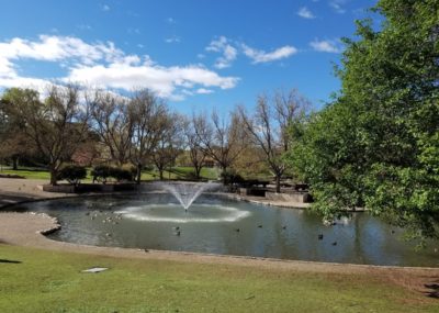 UNM Duck Pond