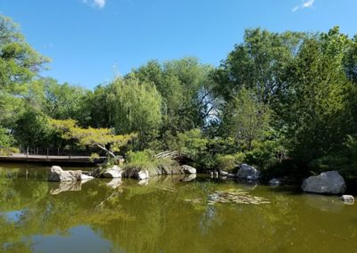 Japanese Garden at Zoo