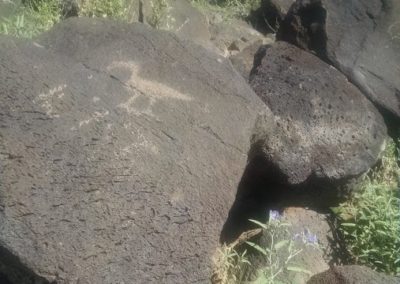 Petroglyph at Piedras Marcadas