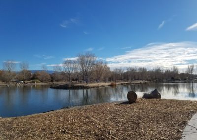 Tingley Beach